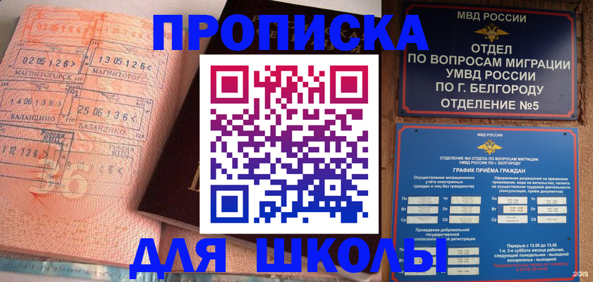 прописка иностранных граждан в Светлогорске
